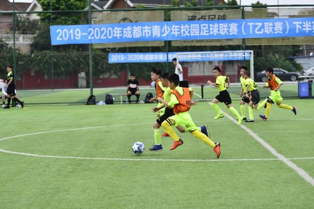 深圳企业逆袭海外市场，泳池机器人热销20万台，掘金新蓝海